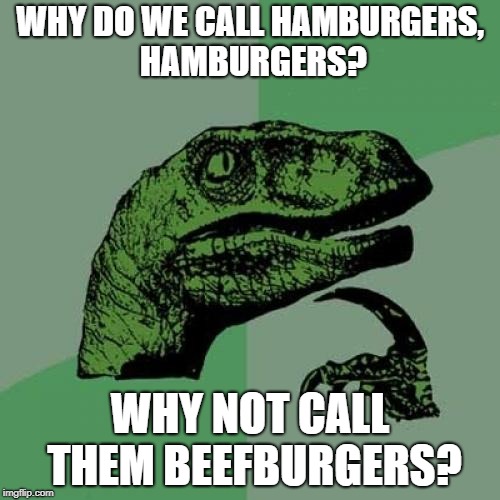 Wouldn't It make sense? | WHY DO WE CALL HAMBURGERS, HAMBURGERS? WHY NOT CALL THEM BEEFBURGERS? | image tagged in memes,philosoraptor | made w/ Imgflip meme maker
