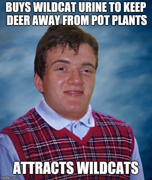 Bad Luck 10 Guy | BUYS WILDCAT URINE TO KEEP DEER AWAY FROM POT PLANTS; ATTRACTS WILDCATS | image tagged in bad luck 10 guy | made w/ Imgflip meme maker