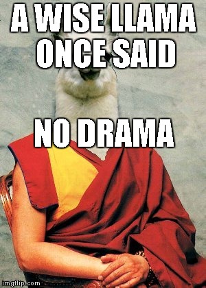 A WISE LLAMA ONCE SAID NO DRAMA | made w/ Imgflip meme maker