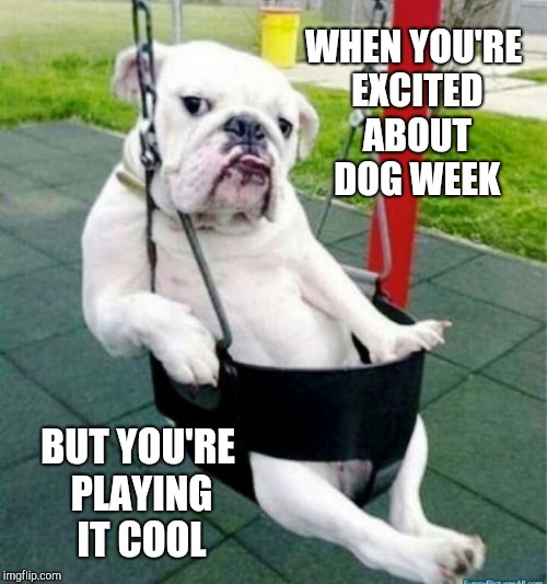  Dog week, May 1-8, a Landon_the_memer and NikkoBellic event! | WHEN YOU'RE EXCITED ABOUT DOG WEEK; BUT YOU'RE PLAYING IT COOL | image tagged in jbmemegeek,dog week,cute dogs,memes | made w/ Imgflip meme maker