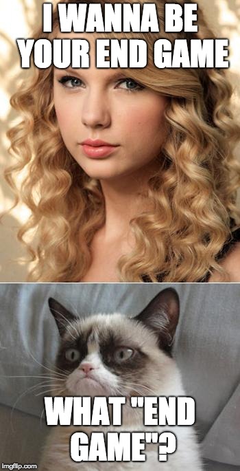 End Game | I WANNA BE YOUR END GAME; WHAT "END GAME"? | image tagged in grumpy cat says no to taylor swift as nyc global welcome ambas | made w/ Imgflip meme maker