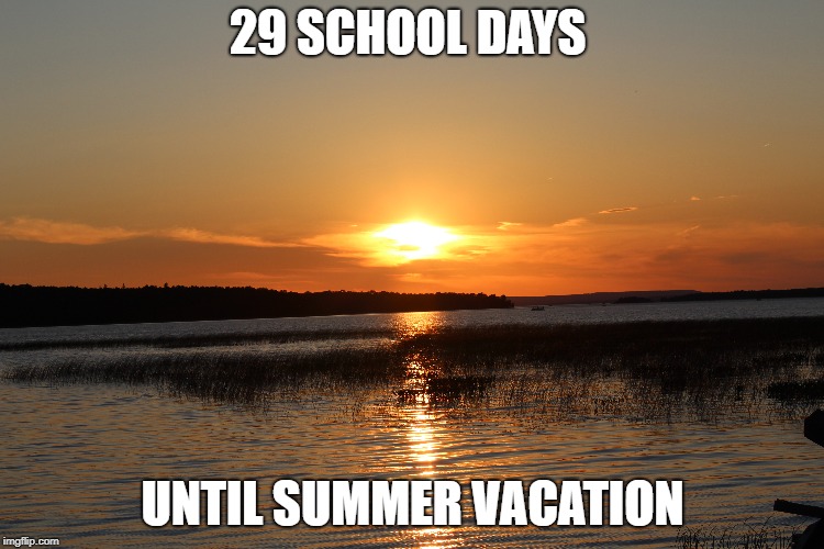 29 SCHOOL DAYS; UNTIL SUMMER VACATION | made w/ Imgflip meme maker