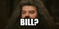 Beard guy | BILL? | image tagged in beard guy | made w/ Imgflip meme maker