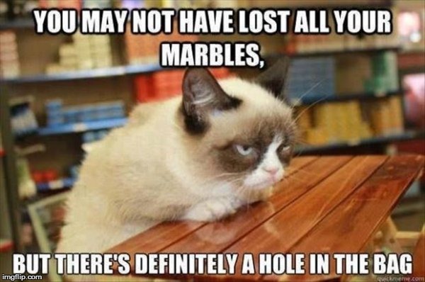 CATZ | . | image tagged in funny | made w/ Imgflip meme maker