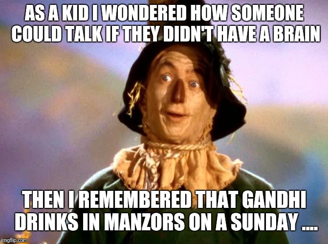 Wizard of Oz Scarecrow | AS A KID I WONDERED HOW SOMEONE COULD TALK IF THEY DIDN'T HAVE A BRAIN; THEN I REMEMBERED THAT GANDHI DRINKS IN MANZORS ON A SUNDAY .... | image tagged in wizard of oz scarecrow | made w/ Imgflip meme maker
