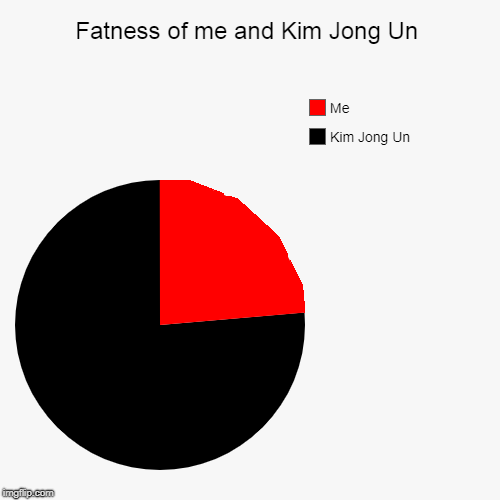 Fatness of me and Kim Jong Un | Kim Jong Un, Me | image tagged in funny,pie charts | made w/ Imgflip chart maker