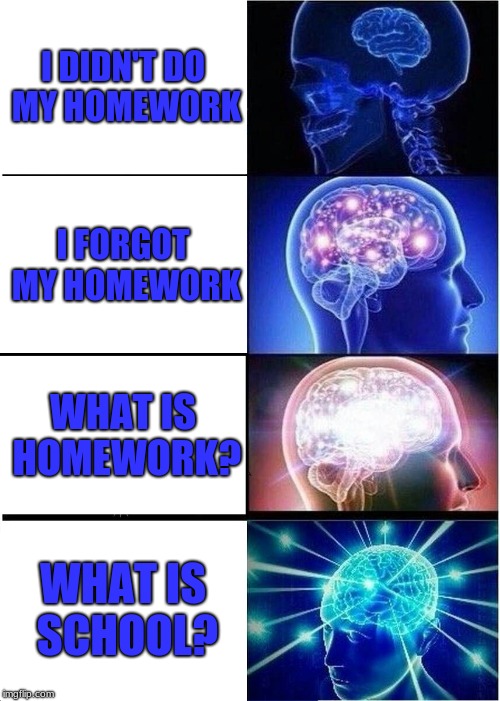 last day of school | I DIDN'T DO MY HOMEWORK; I FORGOT MY HOMEWORK; WHAT IS HOMEWORK? WHAT IS SCHOOL? | image tagged in memes,expanding brain,homework,school,last day of school,funny | made w/ Imgflip meme maker