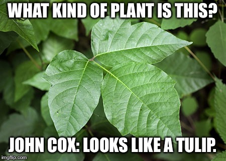 Poison Ivy | WHAT KIND OF PLANT IS THIS? JOHN COX: LOOKS LIKE A TULIP. | image tagged in poison ivy | made w/ Imgflip meme maker