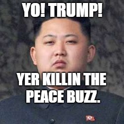 Kim Jung Un | YO! TRUMP! YER KILLIN THE PEACE BUZZ. | image tagged in kim jung un | made w/ Imgflip meme maker