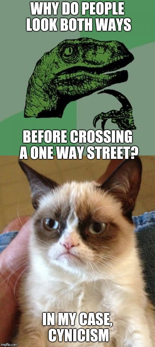 Talkin' 'bout Human Nature | WHY DO PEOPLE LOOK BOTH WAYS; BEFORE CROSSING A ONE WAY STREET? IN MY CASE, CYNICISM | image tagged in philosoraptor,grumpy cat,memes,human stupidity,nature | made w/ Imgflip meme maker