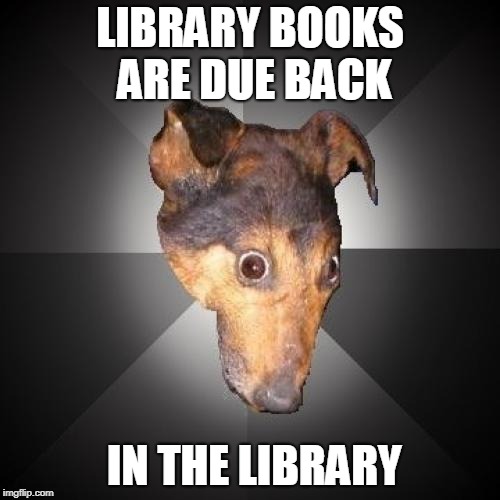 Depression Dog | LIBRARY BOOKS ARE DUE BACK; IN THE LIBRARY | image tagged in memes,depression dog | made w/ Imgflip meme maker