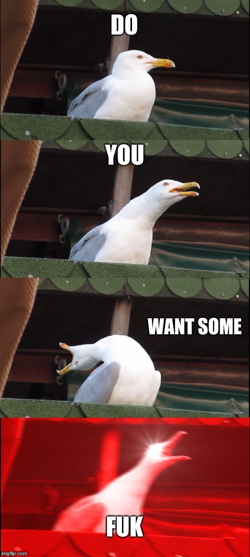 Inhaling Seagull Meme | DO; YOU; WANT SOME; FUK | image tagged in memes,inhaling seagull | made w/ Imgflip meme maker