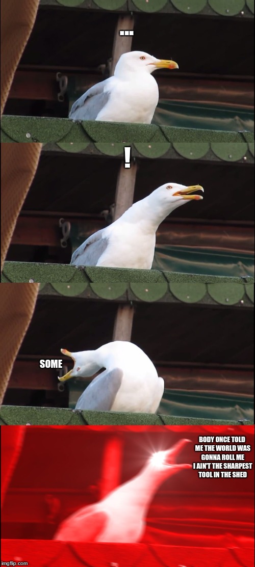 Inhaling Seagull Meme | ... ! SOME; BODY ONCE TOLD ME THE WORLD WAS GONNA ROLL ME I AIN'T THE SHARPEST TOOL IN THE SHED | image tagged in memes,inhaling seagull | made w/ Imgflip meme maker