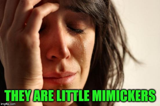 First World Problems Meme | THEY ARE LITTLE MIMICKERS | image tagged in memes,first world problems | made w/ Imgflip meme maker