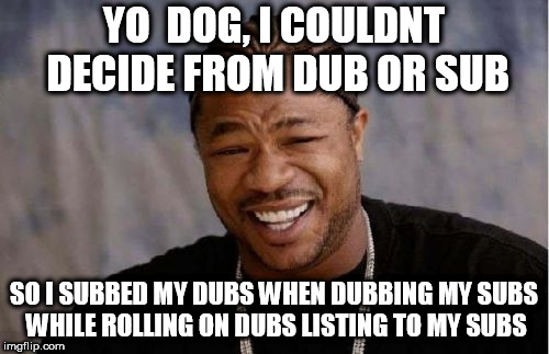 Yo Dawg Heard You Meme | YO  DOG, I COULDNT DECIDE FROM DUB OR SUB; SO I SUBBED MY DUBS WHEN DUBBING MY SUBS WHILE ROLLING ON DUBS LISTING TO MY SUBS | image tagged in memes,yo dawg heard you | made w/ Imgflip meme maker