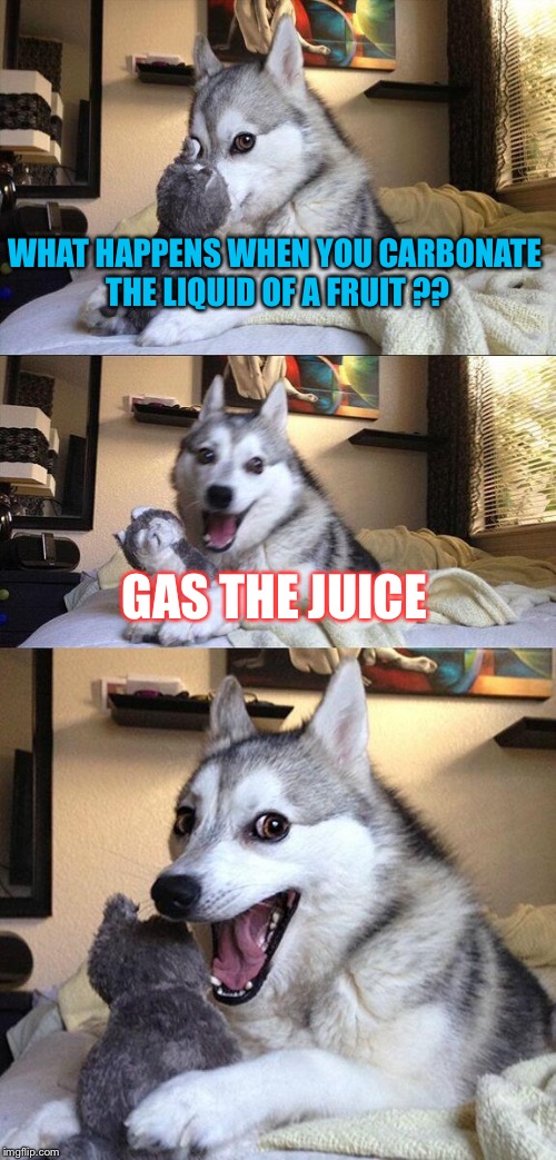 31screw nazis | WHAT HAPPENS WHEN YOU CARBONATE THE LIQUID OF A FRUIT ?? GAS THE JUICE | image tagged in memes,bad pun dog,yung mung,datlinx,datlinx,nein gang | made w/ Imgflip meme maker