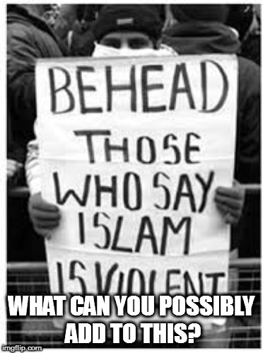 WHAT CAN YOU POSSIBLY ADD TO THIS? | image tagged in religion of peace | made w/ Imgflip meme maker