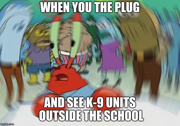 Mr Krabs Blur Meme Meme | WHEN YOU THE PLUG; AND SEE K-9 UNITS OUTSIDE THE SCHOOL | image tagged in memes,mr krabs blur meme | made w/ Imgflip meme maker