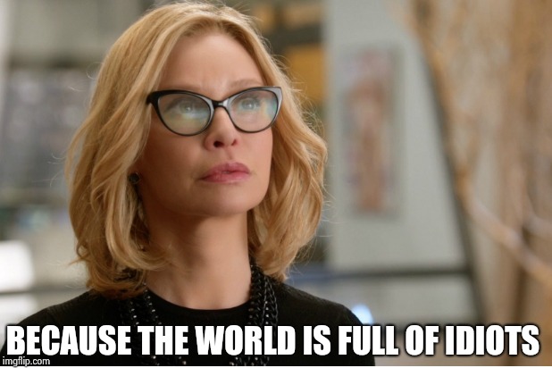 Callista Flockhart | BECAUSE THE WORLD IS FULL OF IDIOTS | image tagged in callista flockhart | made w/ Imgflip meme maker