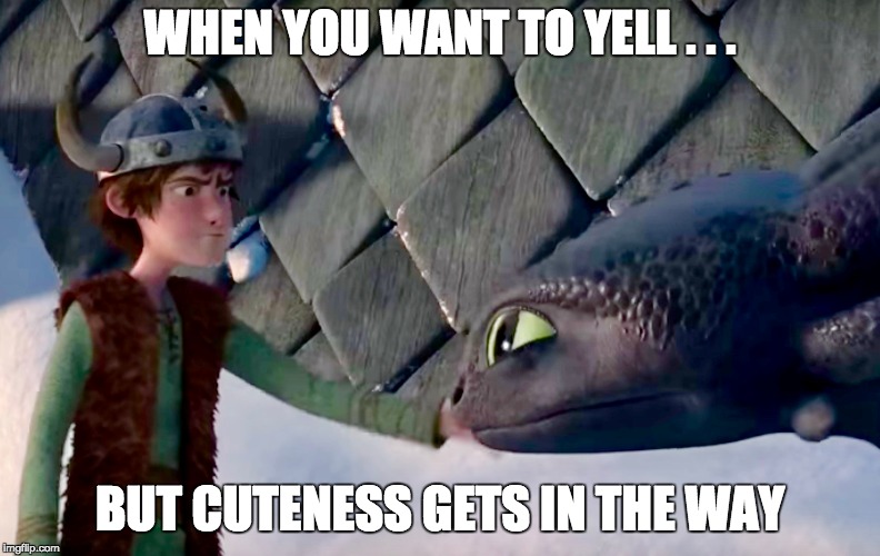 WHEN YOU WANT TO YELL . . . BUT CUTENESS GETS IN THE WAY | image tagged in how to train your dragon,toothless,hiccup | made w/ Imgflip meme maker