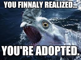 YOU FINNALY REALIZED... YOU'RE ADOPTED. | image tagged in chark | made w/ Imgflip meme maker