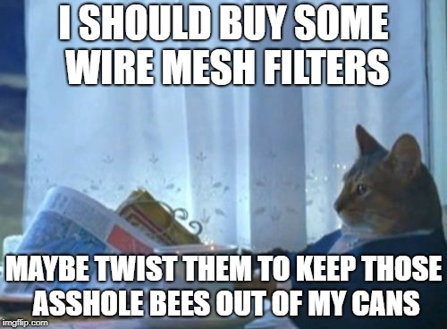 Don't let those drinks go to waste. | I SHOULD BUY SOME WIRE MESH FILTERS; MAYBE TWIST THEM TO KEEP THOSE ASSHOLE BEES OUT OF MY CANS | image tagged in memes,i should buy a boat cat | made w/ Imgflip meme maker