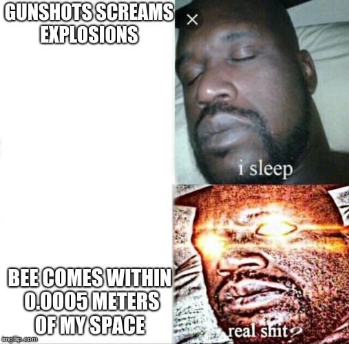 Sleeping Shaq Meme | GUNSHOTS SCREAMS EXPLOSIONS; BEE COMES WITHIN 0.OOO5 METERS OF MY SPACE | image tagged in memes,sleeping shaq | made w/ Imgflip meme maker