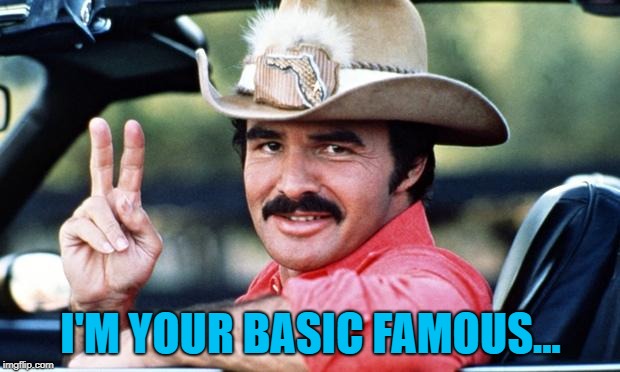 burt | I'M YOUR BASIC FAMOUS... | image tagged in burt | made w/ Imgflip meme maker