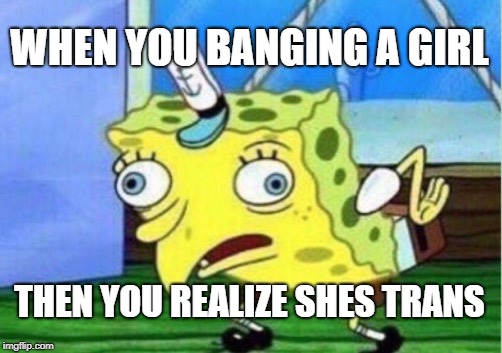 Mocking Spongebob Meme | WHEN YOU BANGING A GIRL; THEN YOU REALIZE SHES TRANS | image tagged in memes,mocking spongebob | made w/ Imgflip meme maker