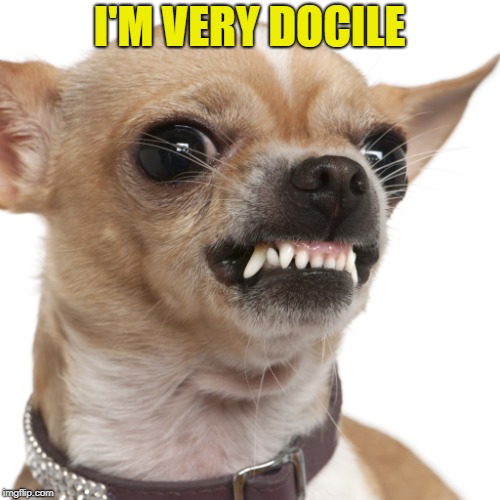 I'M VERY DOCILE | made w/ Imgflip meme maker