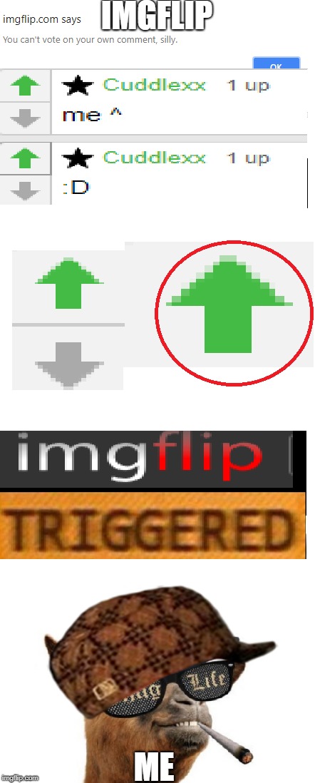 imgflip vs me | IMGFLIP; ME | image tagged in imgflip,thuglife,thug life,smoke weed everyday,savage | made w/ Imgflip meme maker