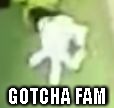 GOTCHA FAM | image tagged in gotcha | made w/ Imgflip meme maker