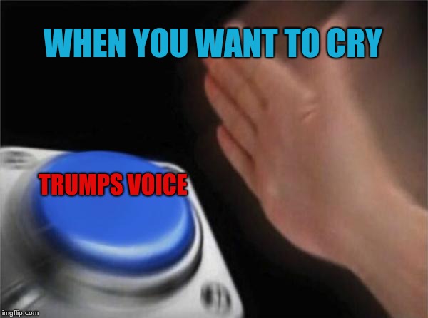 Blank Nut Button Meme | WHEN YOU WANT TO CRY; TRUMPS
VOICE | image tagged in memes,blank nut button | made w/ Imgflip meme maker
