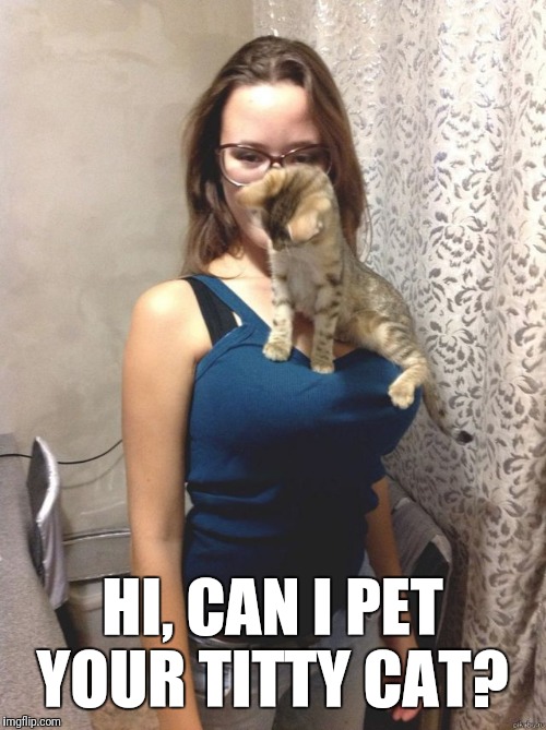 Here kitty kitty | HI, CAN I PET YOUR TITTY CAT? | image tagged in kitty,cat,boobs,tits | made w/ Imgflip meme maker