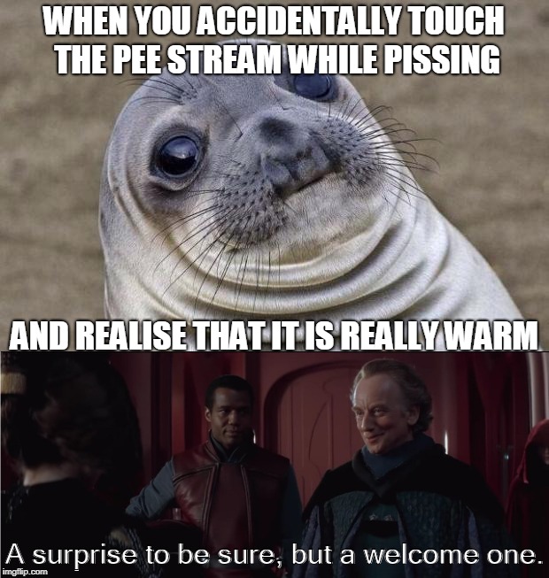 Piss is warm | WHEN YOU ACCIDENTALLY TOUCH THE PEE STREAM WHILE PISSING; AND REALISE THAT IT IS REALLY WARM; A surprise to be sure, but a welcome one. | image tagged in piss,star wars prequels | made w/ Imgflip meme maker