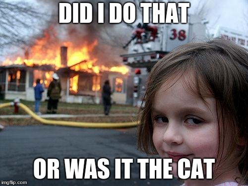 Disaster Girl | DID I DO THAT; OR WAS IT THE CAT | image tagged in memes,disaster girl | made w/ Imgflip meme maker