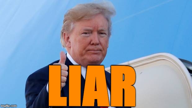 trump  | LIAR | image tagged in liar | made w/ Imgflip meme maker