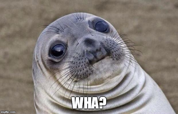 Awkward Moment Sealion Meme | WHA? | image tagged in memes,awkward moment sealion | made w/ Imgflip meme maker