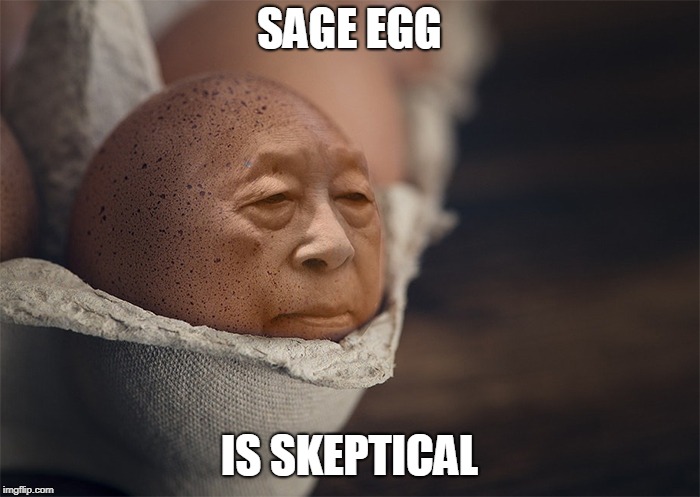 SAGE EGG IS SKEPTICAL | made w/ Imgflip meme maker