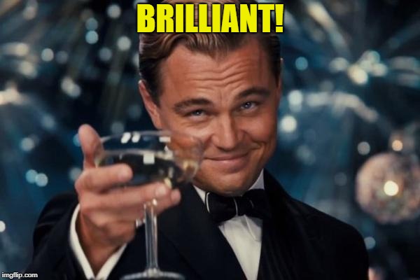Leonardo Dicaprio Cheers Meme | BRILLIANT! | image tagged in memes,leonardo dicaprio cheers | made w/ Imgflip meme maker