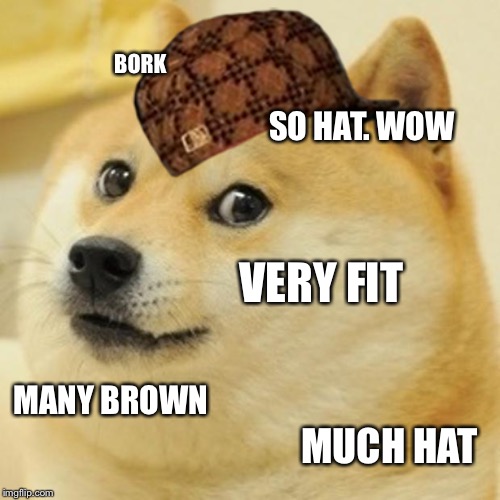 Doge Meme | BORK; SO HAT. WOW; VERY FIT; MANY BROWN; MUCH HAT | image tagged in memes,doge,scumbag | made w/ Imgflip meme maker
