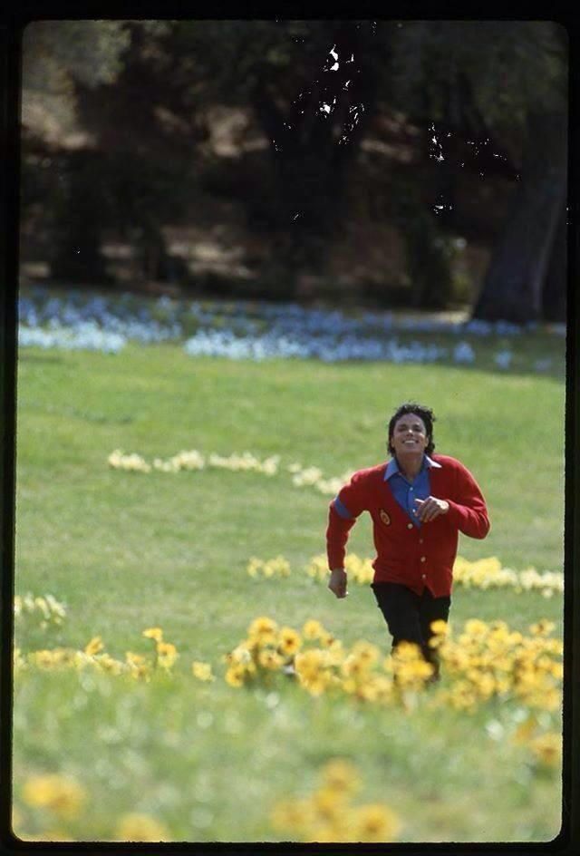 Michael Jackson Blank Meme Template