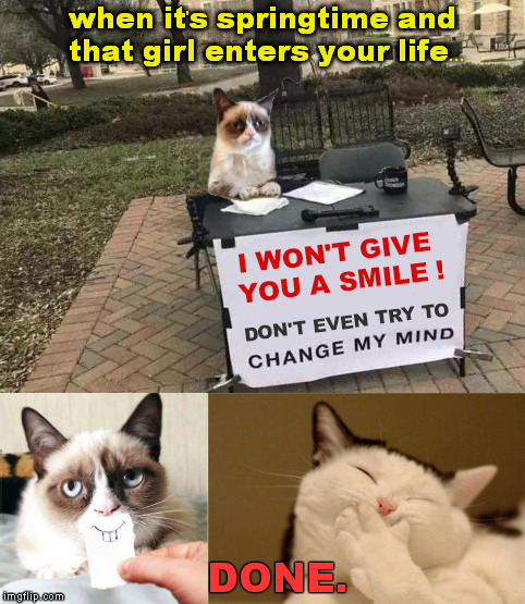 Miracle of Spring |  when it's springtime and that girl enters your life... DONE. | image tagged in grumpy cat,change my mind,springtime | made w/ Imgflip meme maker