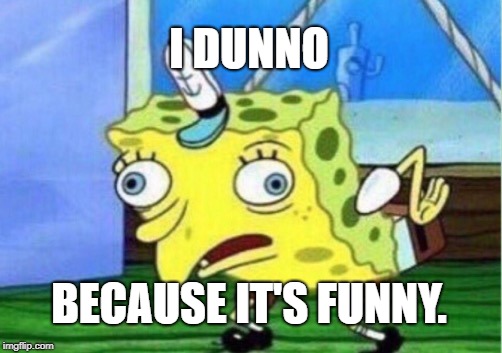 I DUNNO BECAUSE IT'S FUNNY. | image tagged in memes,mocking spongebob | made w/ Imgflip meme maker