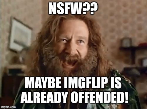 what year is it | NSFW?? MAYBE IMGFLIP IS ALREADY OFFENDED! | image tagged in what year is it | made w/ Imgflip meme maker