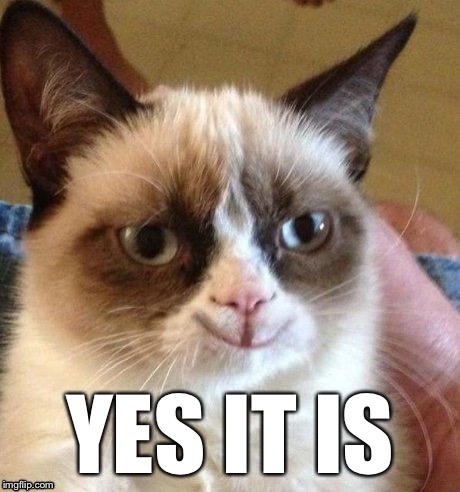 grumpy smile | YES IT IS | image tagged in grumpy smile | made w/ Imgflip meme maker