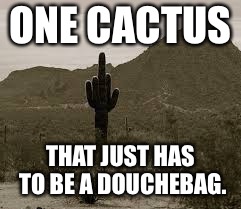 rude finger | ONE CACTUS; THAT JUST HAS TO BE A DOUCHEBAG. | image tagged in rude finger | made w/ Imgflip meme maker