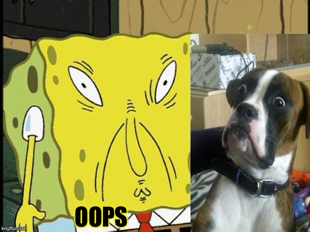 Dog vs Bob | OOPS | image tagged in spongebob funny face | made w/ Imgflip meme maker