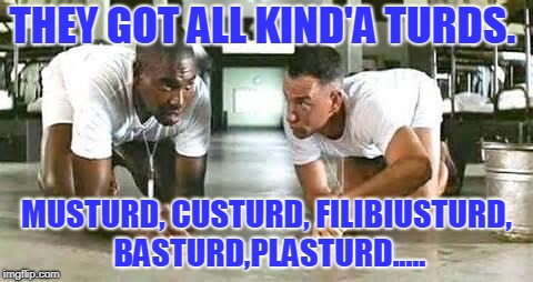 Born of a mutual brainstorm with nottaBot! What other kind'a turds y'all got? Leave your turds in comments! | THEY GOT ALL KIND'A TURDS. MUSTURD, CUSTURD, FILIBIUSTURD, BASTURD,PLASTURD..... | image tagged in bubba gump shrimp,turds,nixieknox,nottabot,memes | made w/ Imgflip meme maker