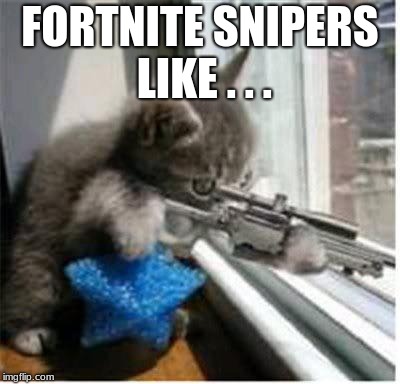 cats with guns | FORTNITE SNIPERS LIKE . . . | image tagged in cats with guns | made w/ Imgflip meme maker